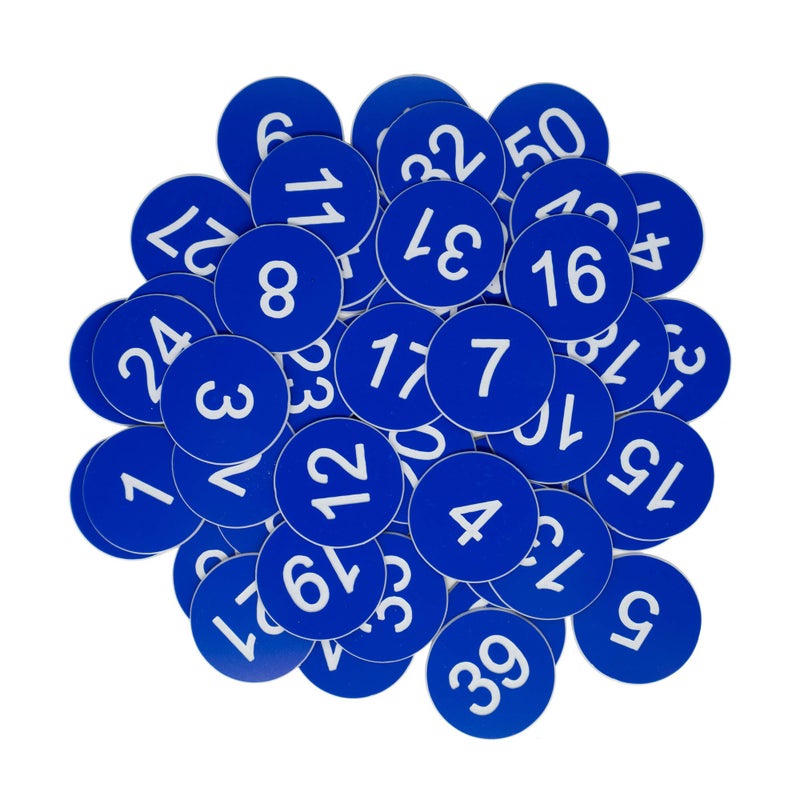 StayMax Plastic Number Tags Engraved Numbered Tags Without Hole (1-100  Blue) - Image 1